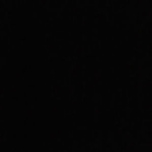 Meet your Posher, Will